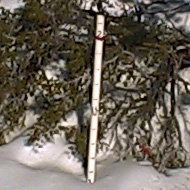 Snow stake